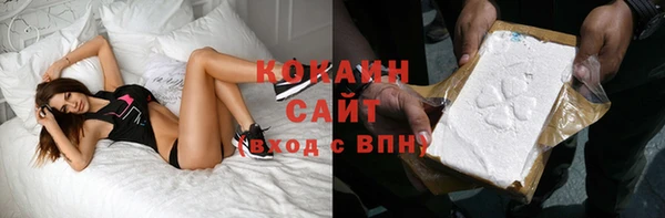 шишки Приозерск